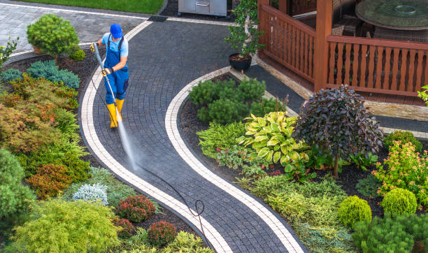 Best Pressure Washing Services Near Me  in Caseyvle, IL